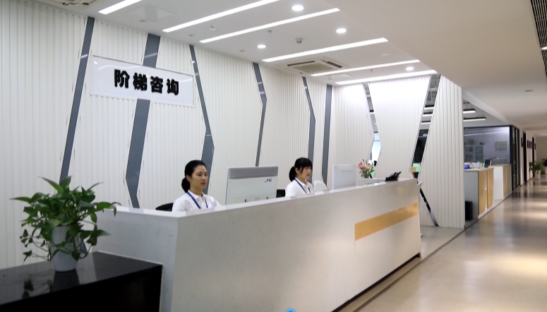 市政府質量獎企業風采②|階梯項目咨詢 高品質服務助力項目“騰飛”